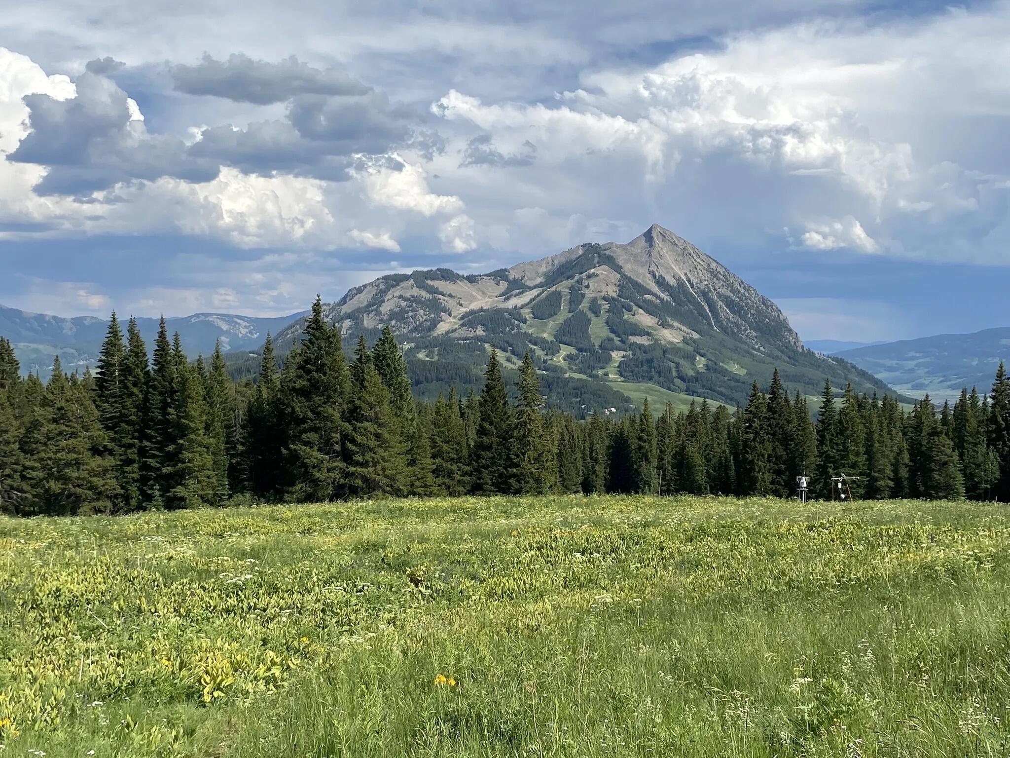 Picture of Snodgrass Mountain Trail