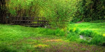 Picture of John A. Finch Arboretum