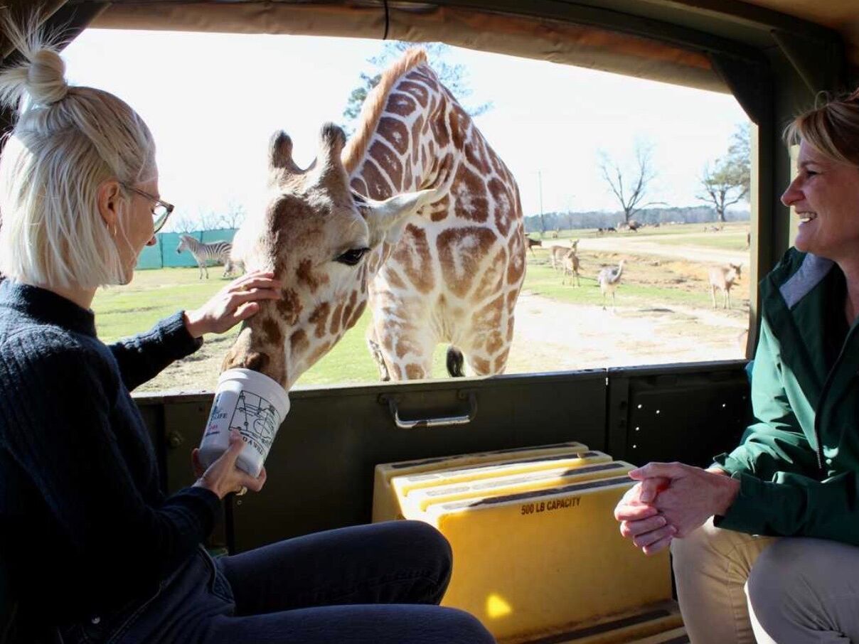 Picture of Global Wildlife Center