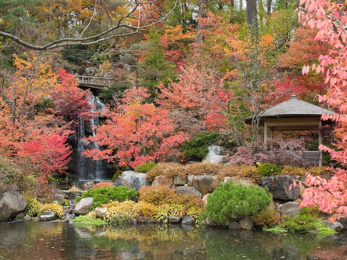 Picture of Anderson Japanese Gardens