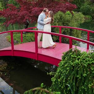 Gallery Photo 41