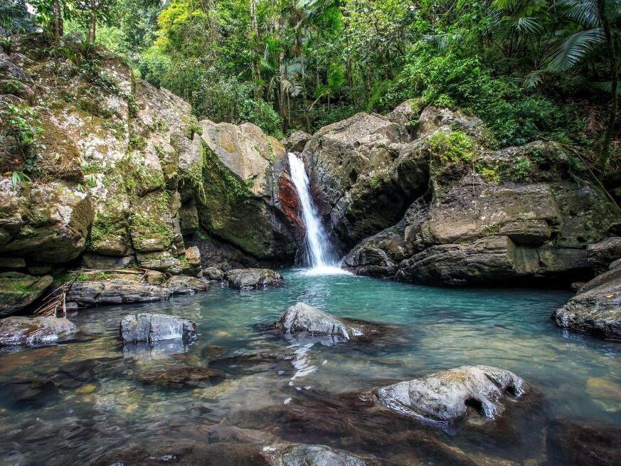 Picture of El Yunque National Forest