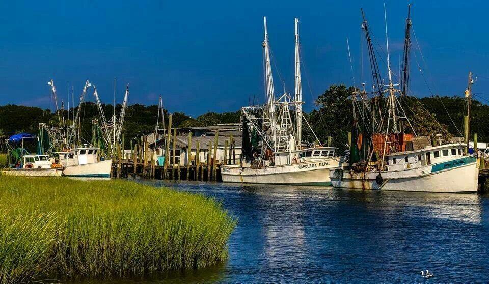 Picture of Gay Fish Co Inc