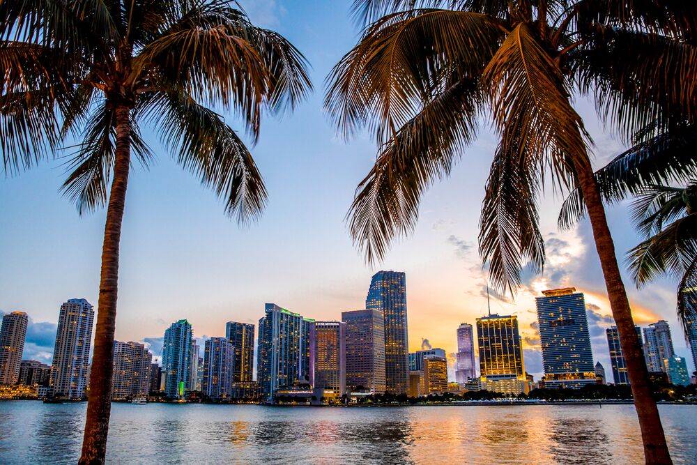 Picture of Miami (Monday, Day 4) Disembarkation Day