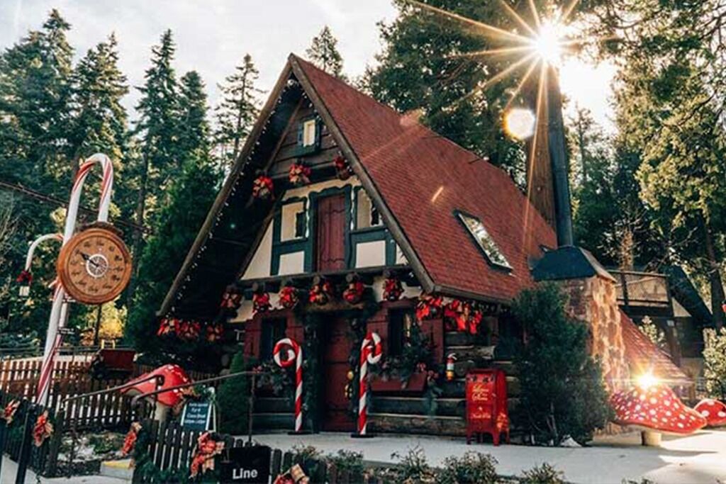 Picture of SkyPark at Santa's Village