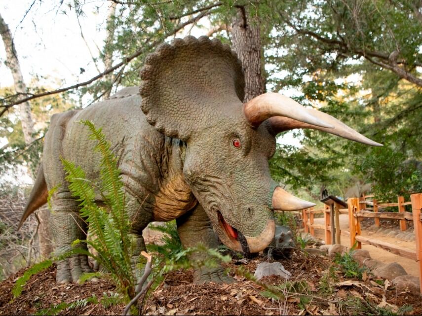 Picture of Santa Barbara Museum of Natural History