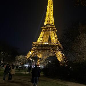Gallery Photo 17
