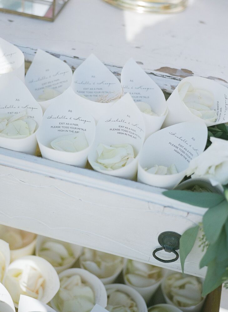 Cones of Flower Petals for Recessional Toss