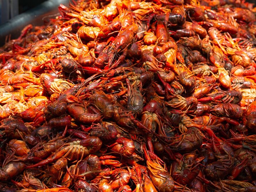 Picture of Downtown Crawfish Jam