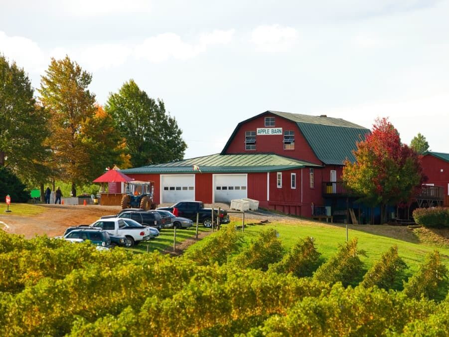 Picture of Carter Mountain Orchard and Country Store