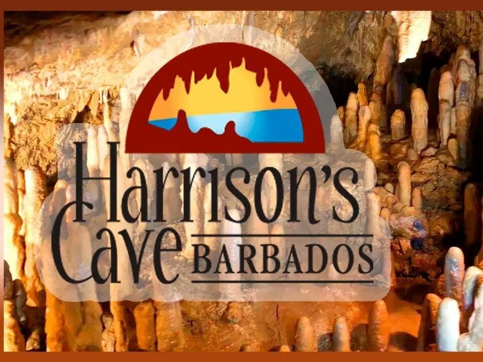 Picture of Harrison's Cave Eco-Adventure Park
