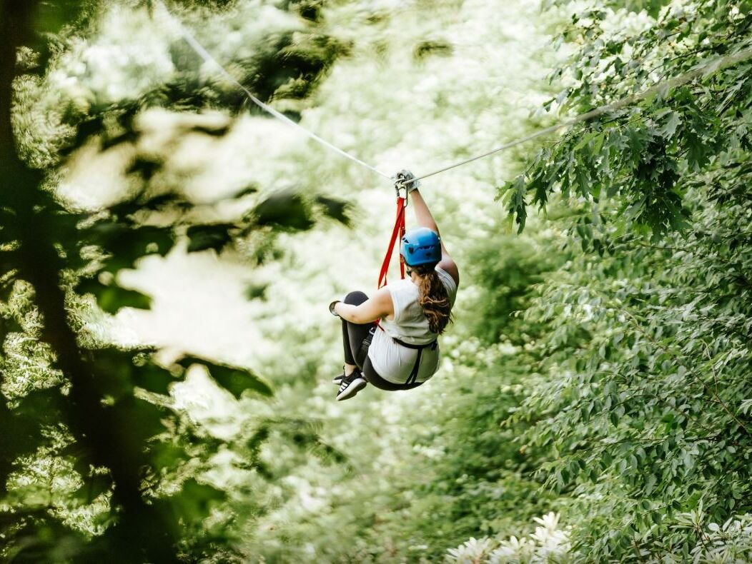 Picture of Hawksnest Zipline