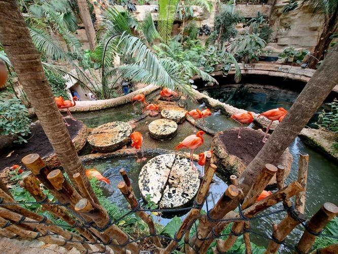 Picture of The Dallas World Aquarium