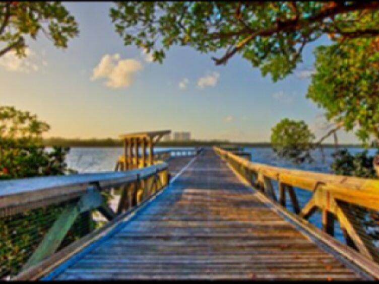 Picture of John D. MacArthur Beach State Park