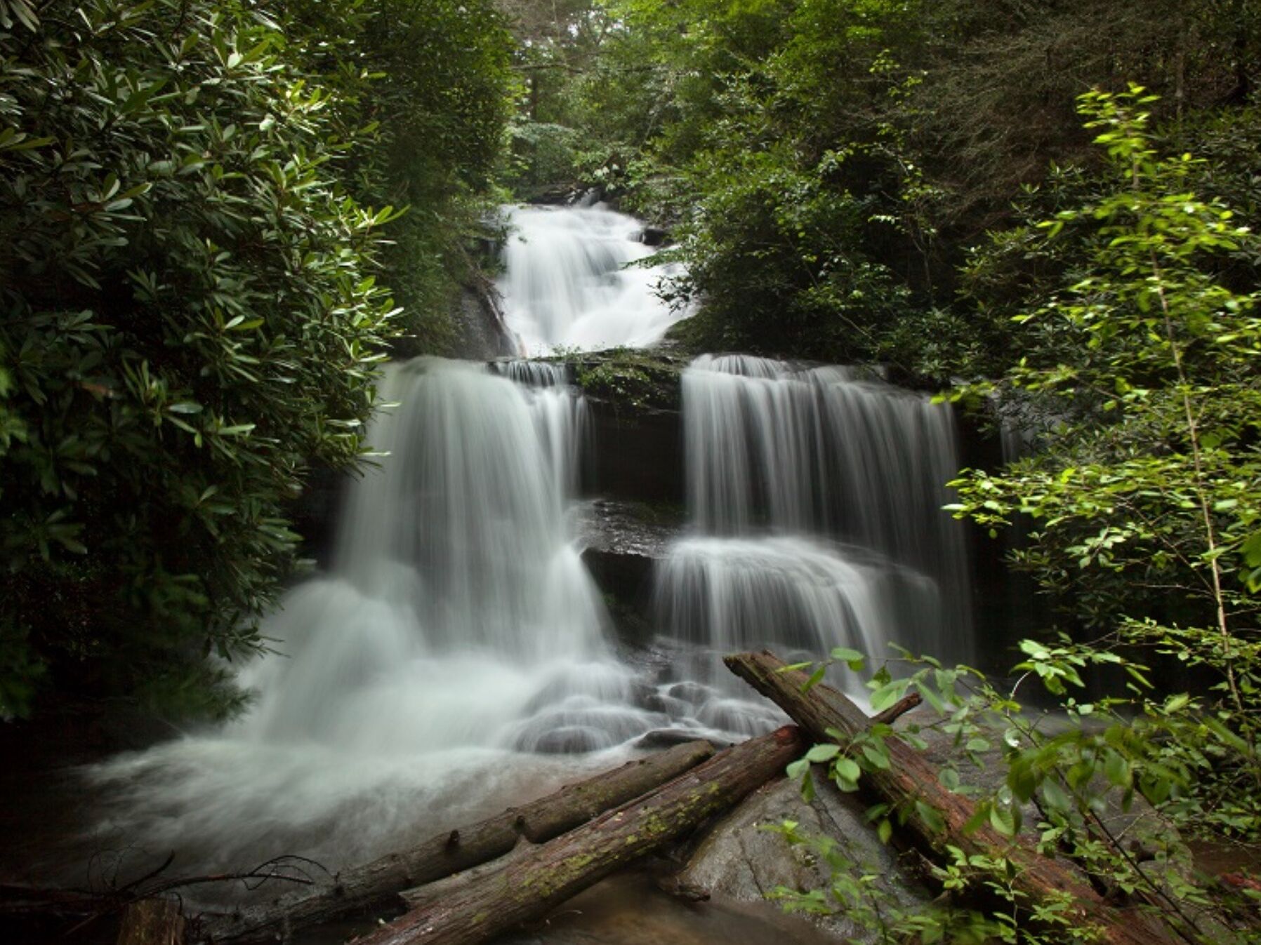 Picture of Martin Creek Falls