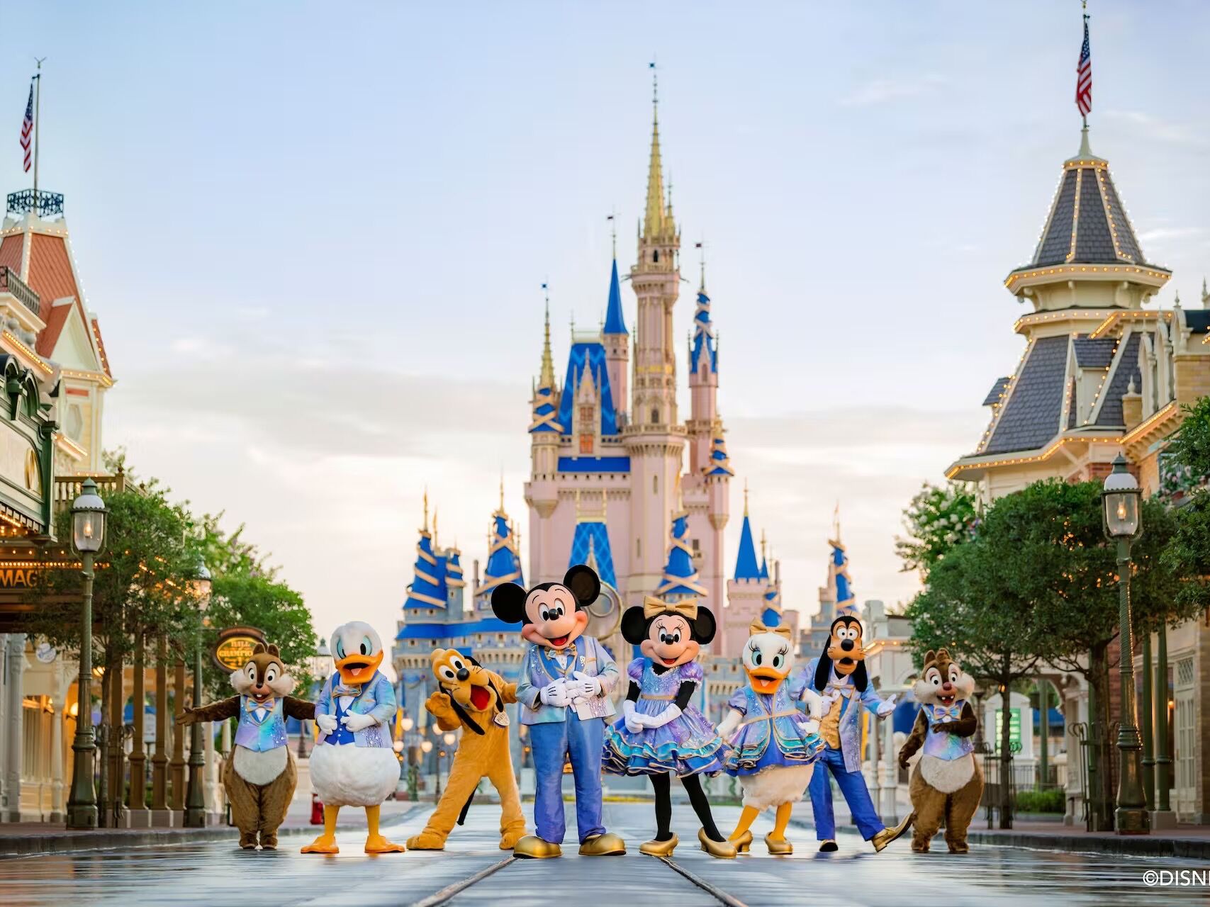 Picture of Walt Disney World® Resort