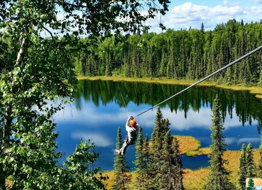 Picture of Talkeetna Zipline