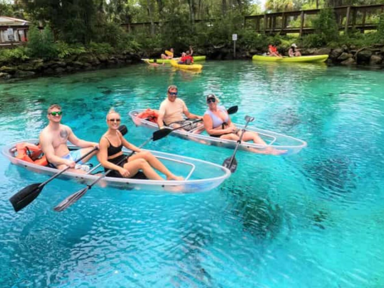 Picture of Crystal River Kayak Company and Dive Center