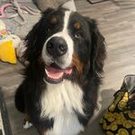 Murphy Billington