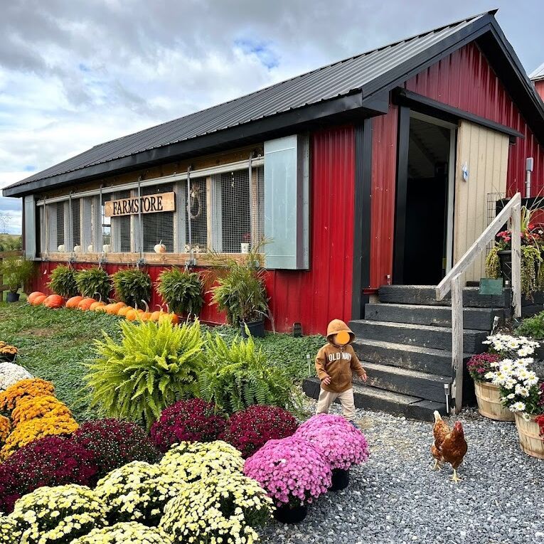 Picture of Georgia Belle Farms