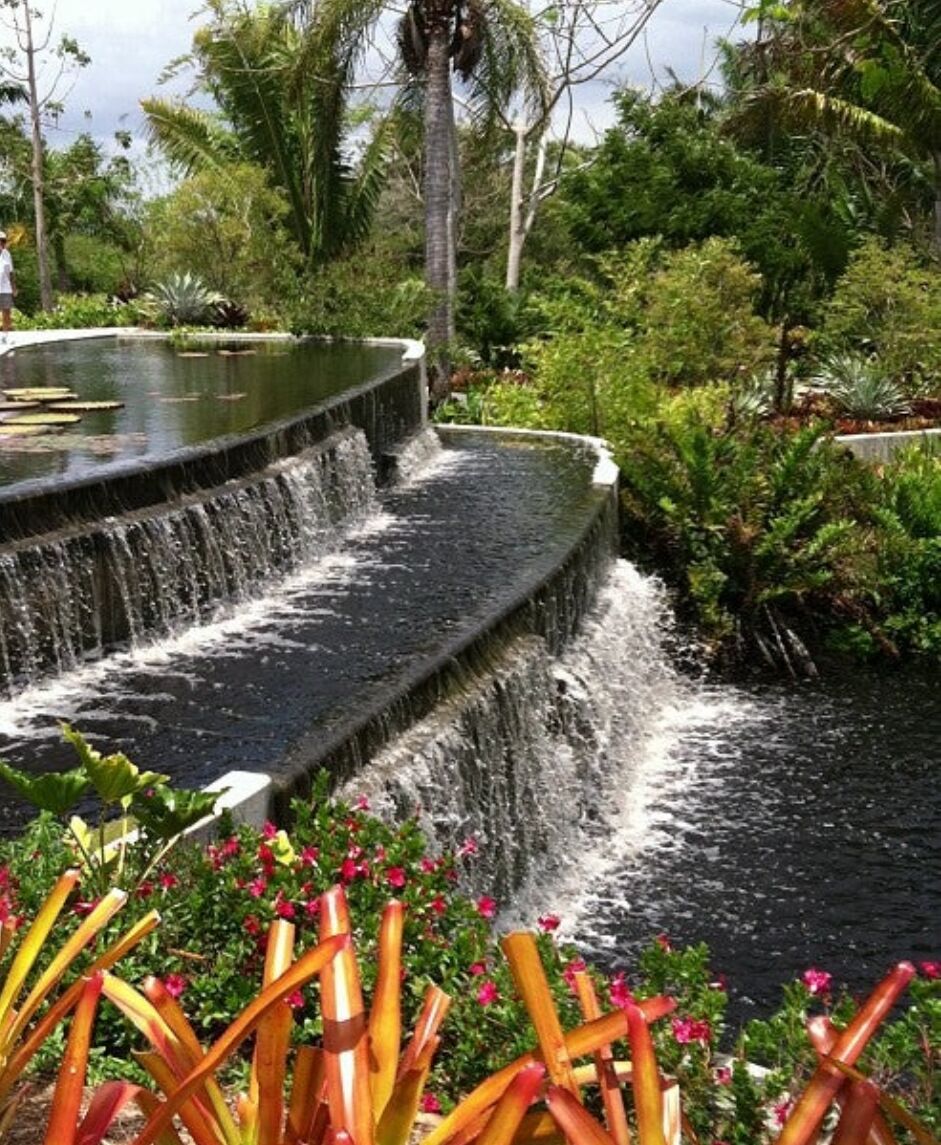 Picture of Naples Botanical Gardens