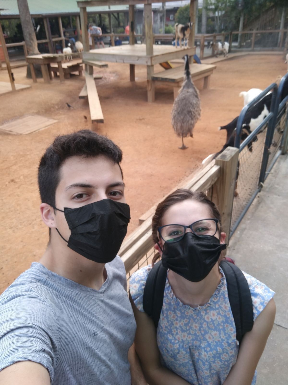 Picture of Gatorland