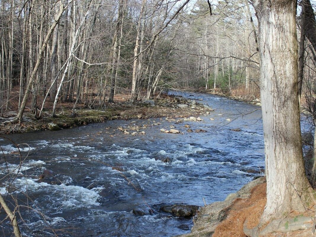 Picture of Look Memorial Park