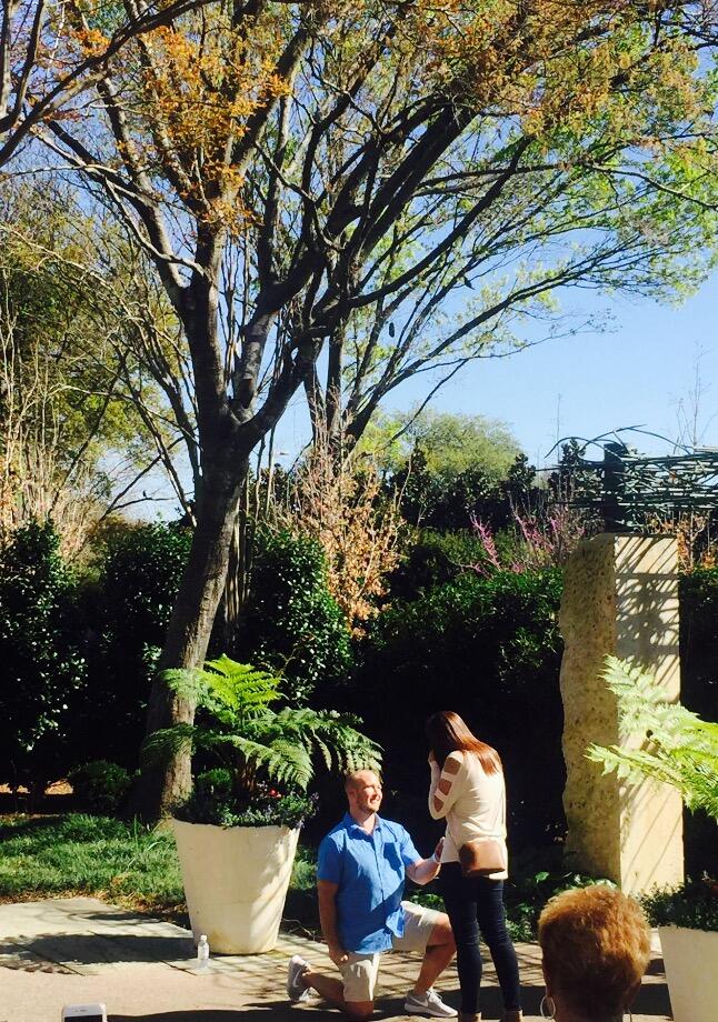 Picture of The Engagement 