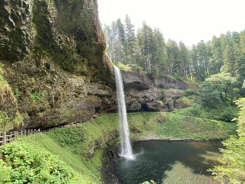 Picture of Silver Falls State Park