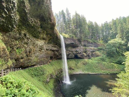 Picture of Silver Falls State Park