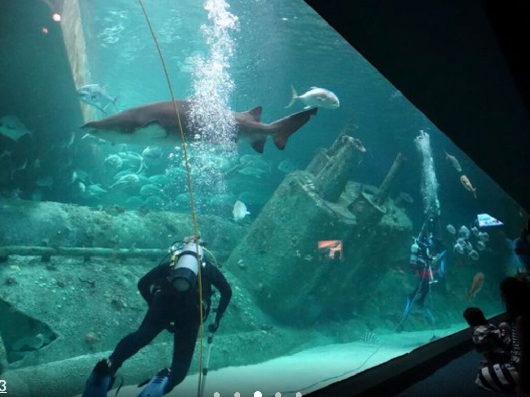 Picture of North Carolina Aquarium at Pine Knoll Shores