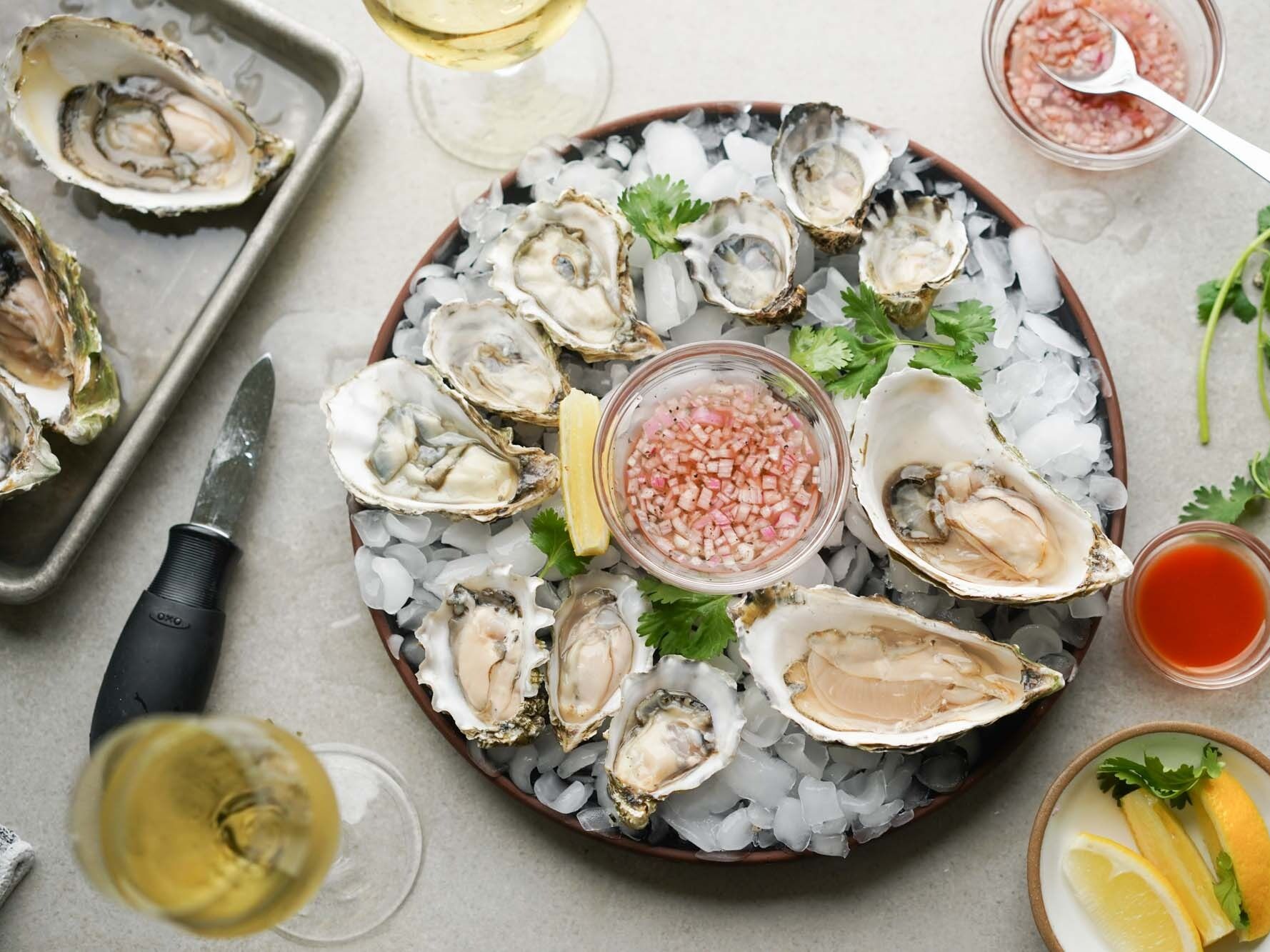 Picture of Taylor Shellfish Farms