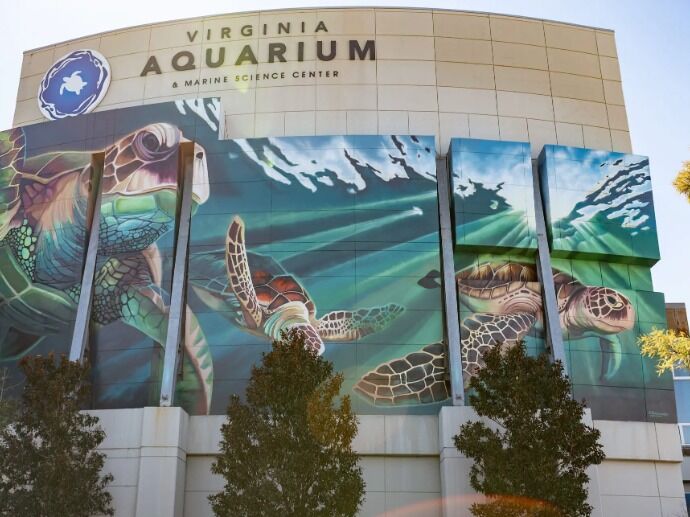 Picture of Virginia Aquarium & Marine Science Center