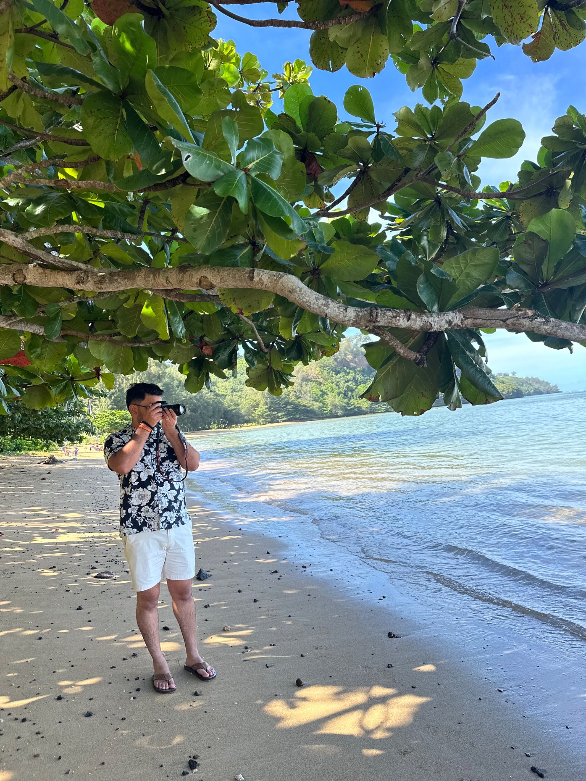 Picture of Anini Beach