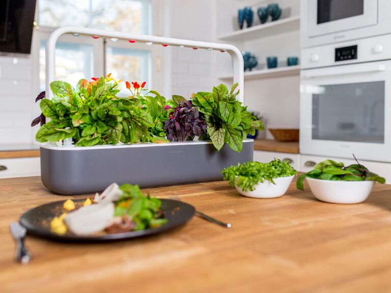 Gray and white indoor smart garden unique 35th anniversary gift