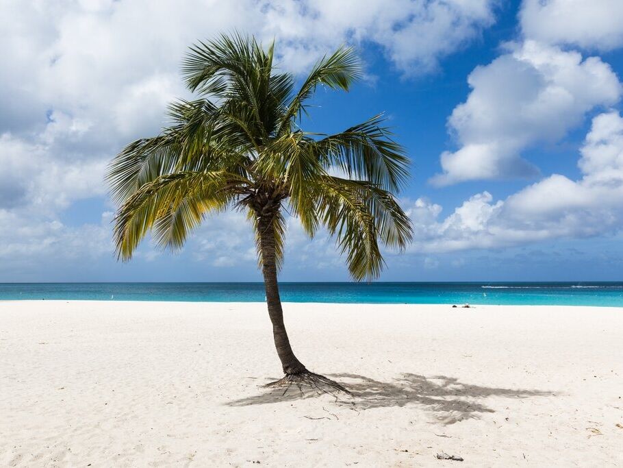 Picture of Eagle Beach Aruba
