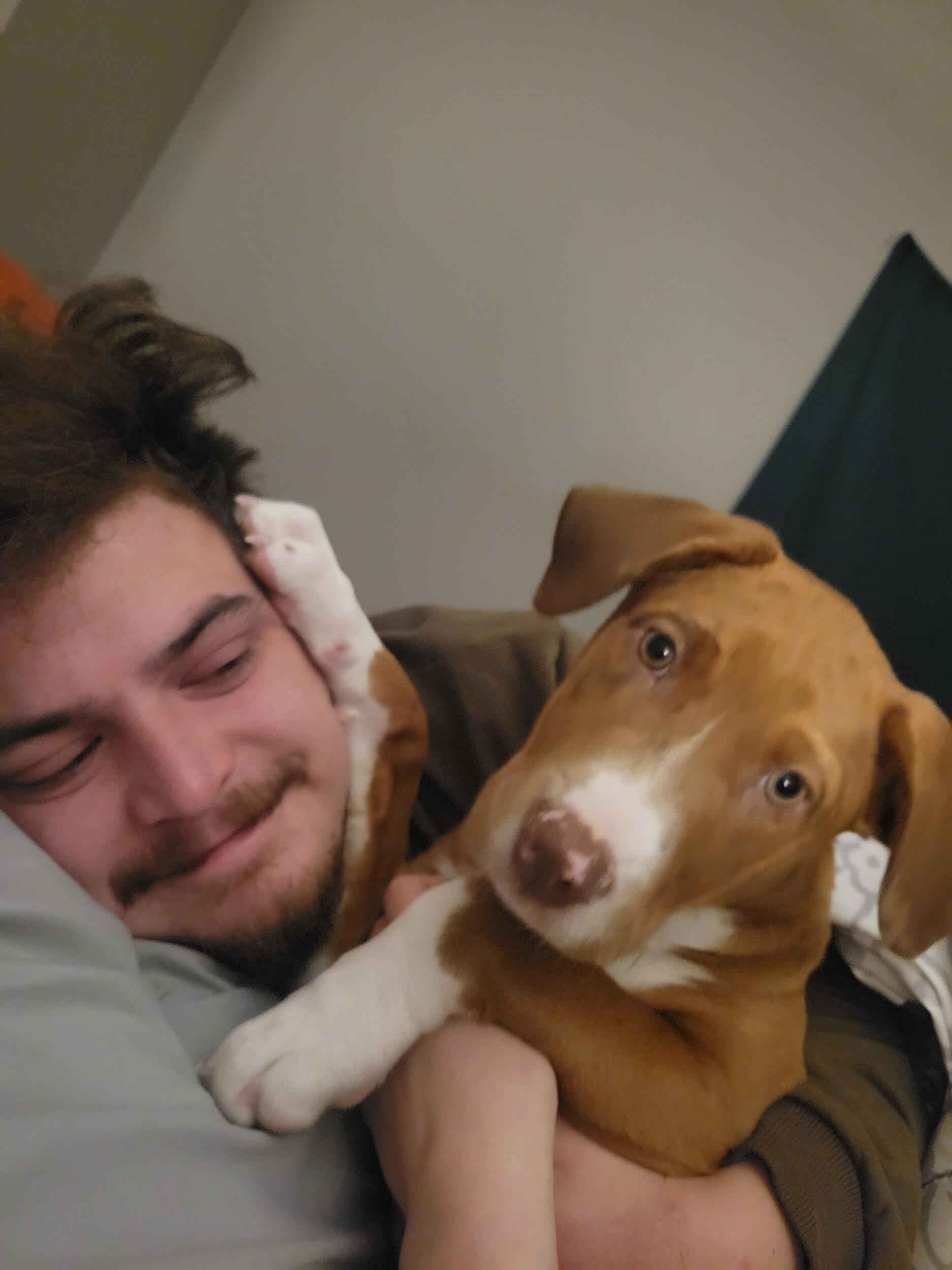 We get used to having a new addition to our family 