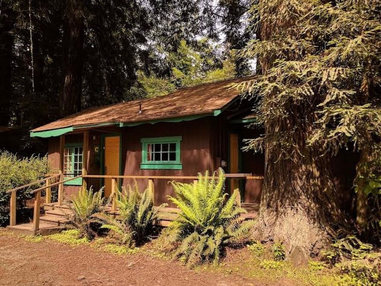 Picture of Emerald Forest Cabins & RV