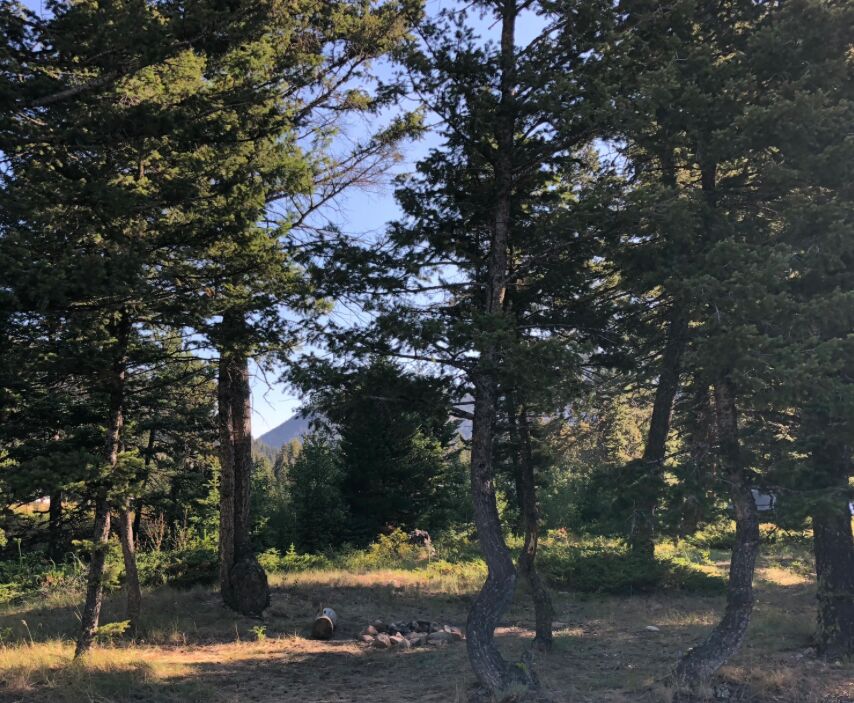 Picture of Camping! 
