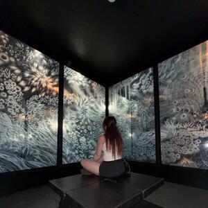 Gallery Photo 71