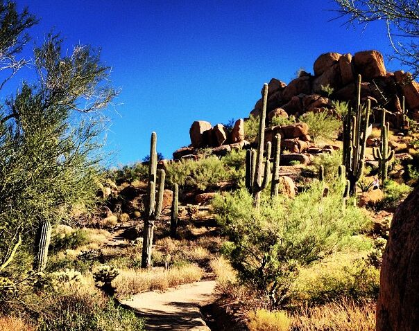 Picture of Pinnacle Peak Trail