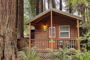 Picture of Emerald Forest Cabins & RV
