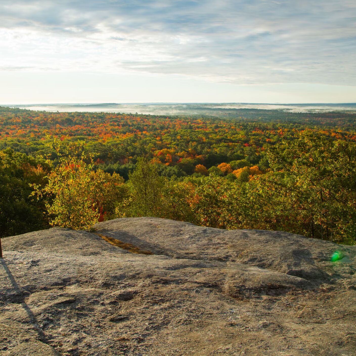 Picture of Bradbury Mountain State Park
