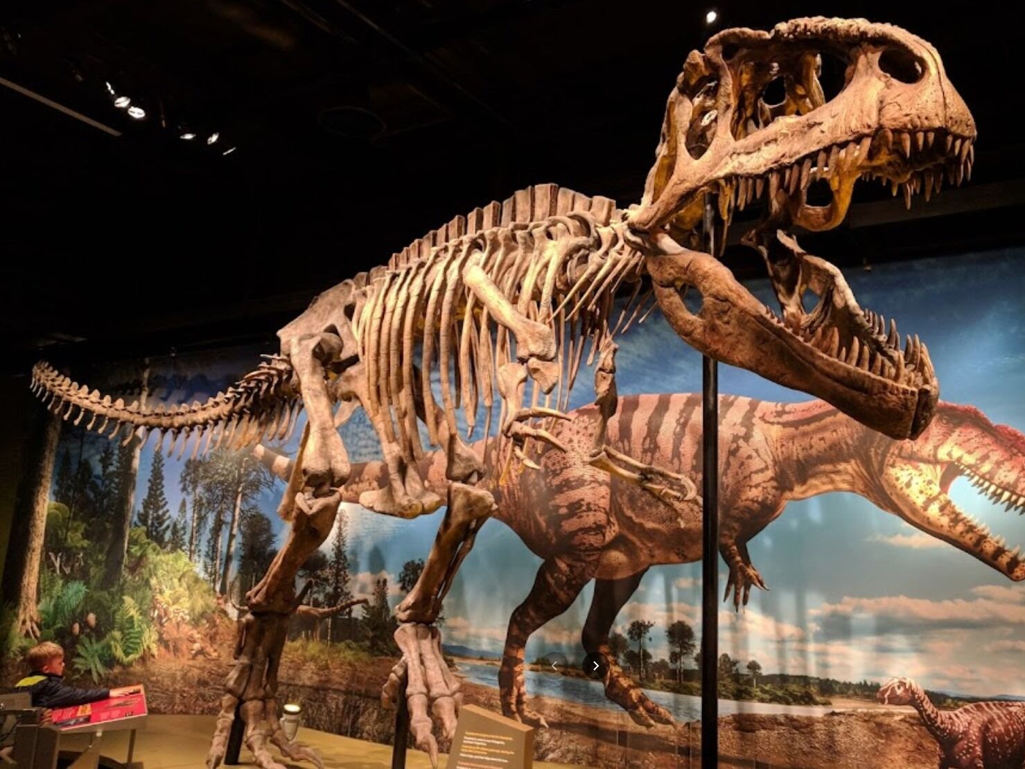 Picture of Denver Museum of Nature & Science