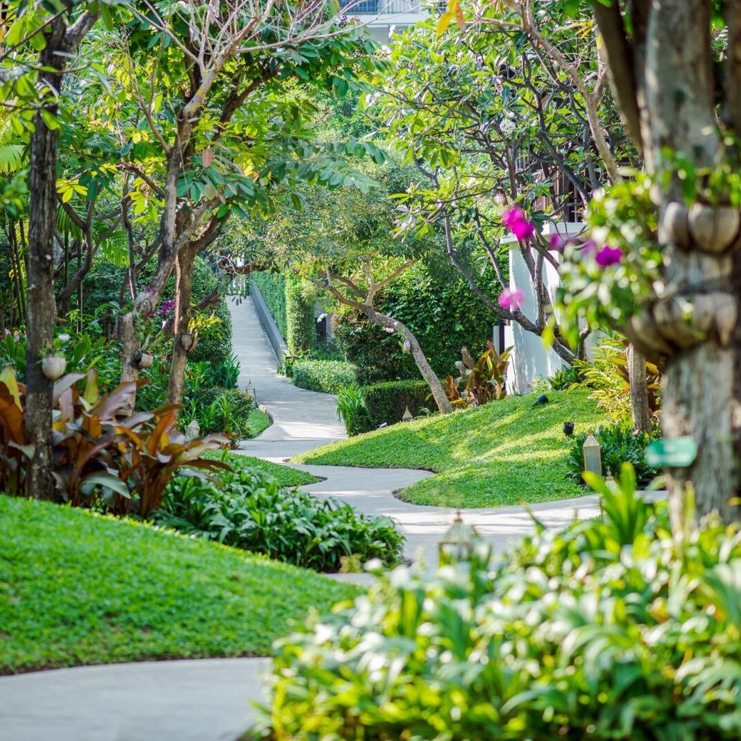 Picture of The Palayana Hua Hin