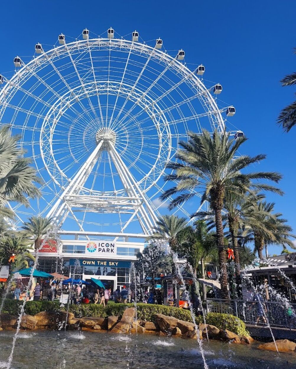 Picture of Orlando Eye At Icon Park