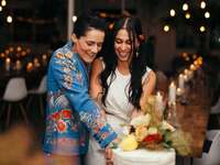 Couple cutting the cake at wedding reception