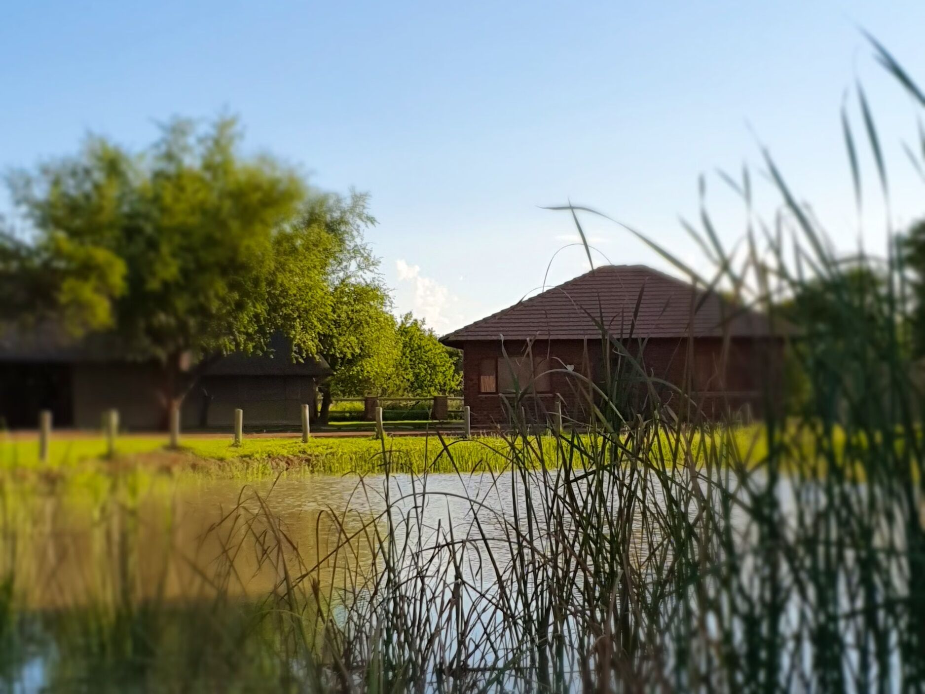 Picture of Middelplaas Gastekamp