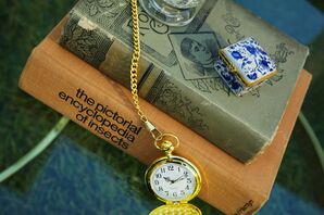Vintage Books and Pocket Watch Decor