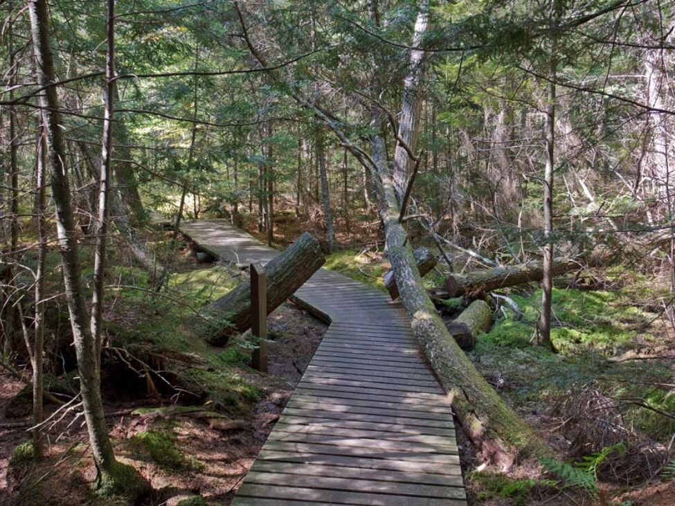 Picture of Franklin Nature Trail